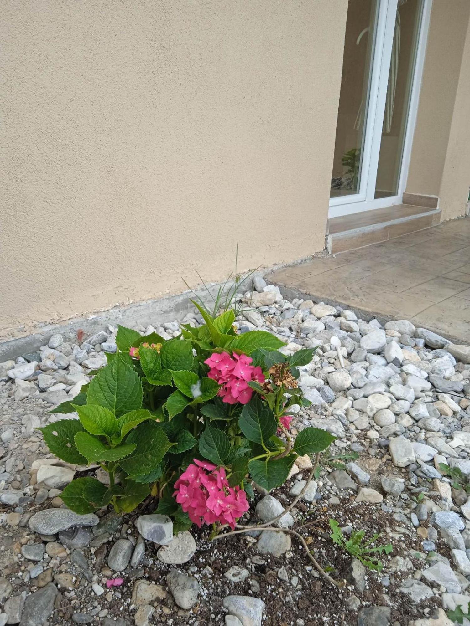 Sylias Village Skala Korinou Exteriér fotografie